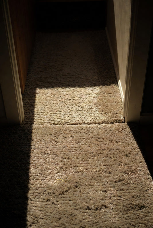 Plush Feel Cozy Area Carpet